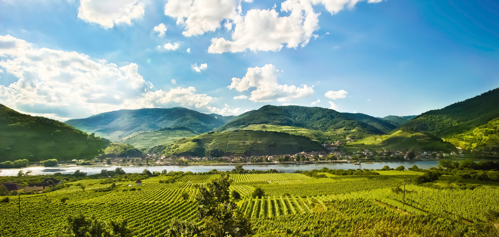 Donau NÖ - Header Weinstraße Wachau