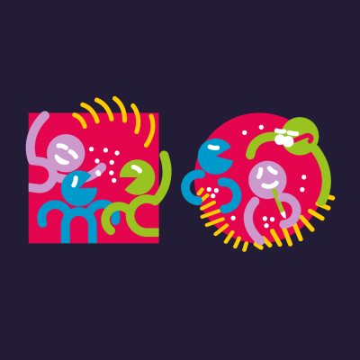 dataCycle & pixelpoint starten am deutschen Markt durch